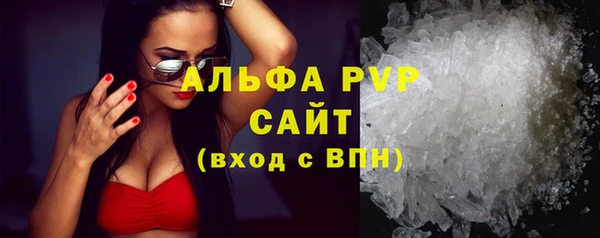 стафф Покачи