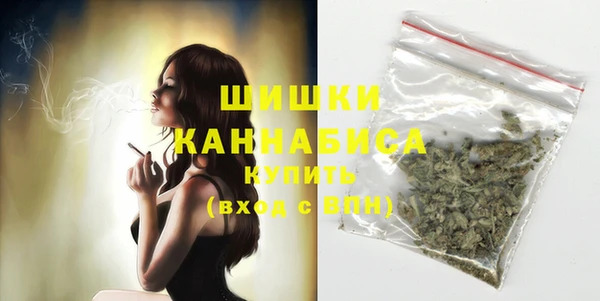 стафф Покачи