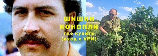 стафф Покачи