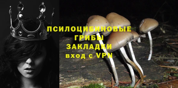 стафф Покачи
