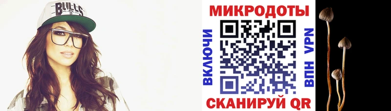как найти закладки Северо-Курильск Псилоцибиновые грибы мухоморы